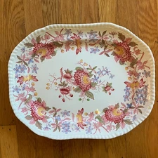 Copeland Spode Aster 14 1/2 Platter - Oval With Gadroon Edge - England