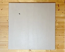 "On The Wall" Original Signed Eccentric Curiosity Acrylic Painting 36x36 Sholes