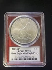 2025-(P) Silver Eagle PCGS MS70 Eagle Privy – Red EDC Plug Label – Perfect