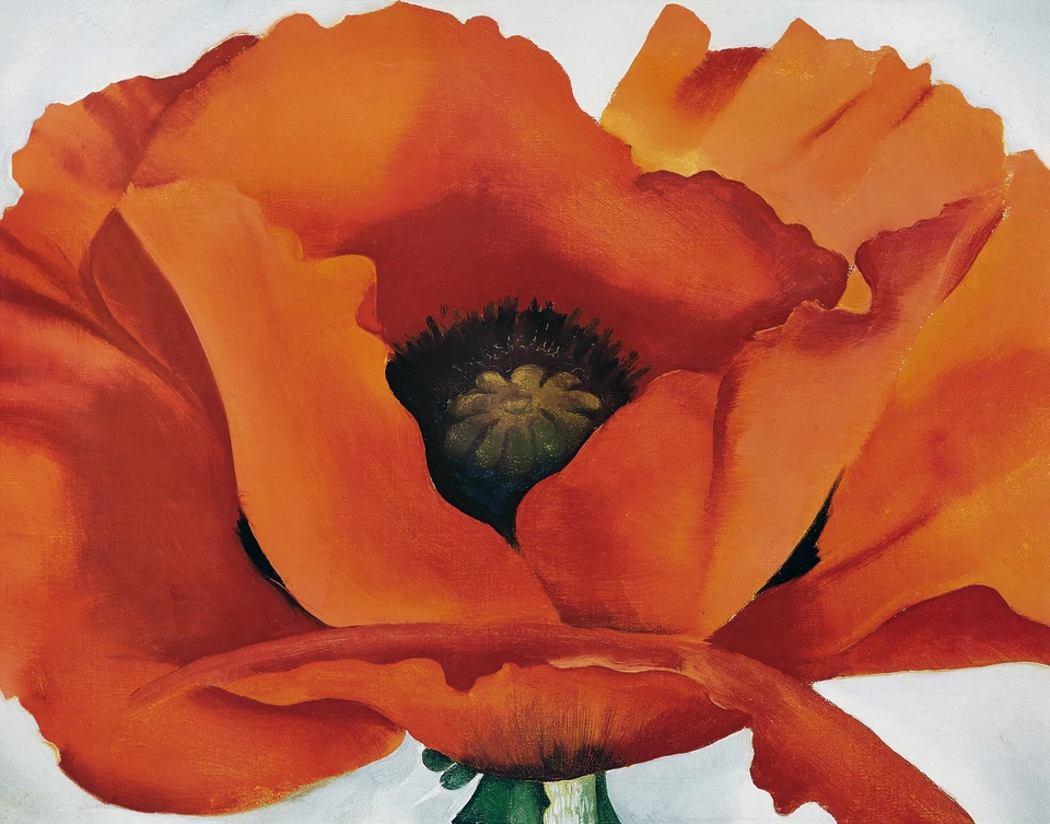 GEORGIA O'KEEFFE RED POPPY 1927  MINIMALISM ART GICLEE PRINT FINE CANVAS - Image 3 of 4