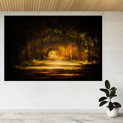 Leere Straße Dschungel Herbst Natur 3D Ansicht Wandsticker Poster Aufkleber A25