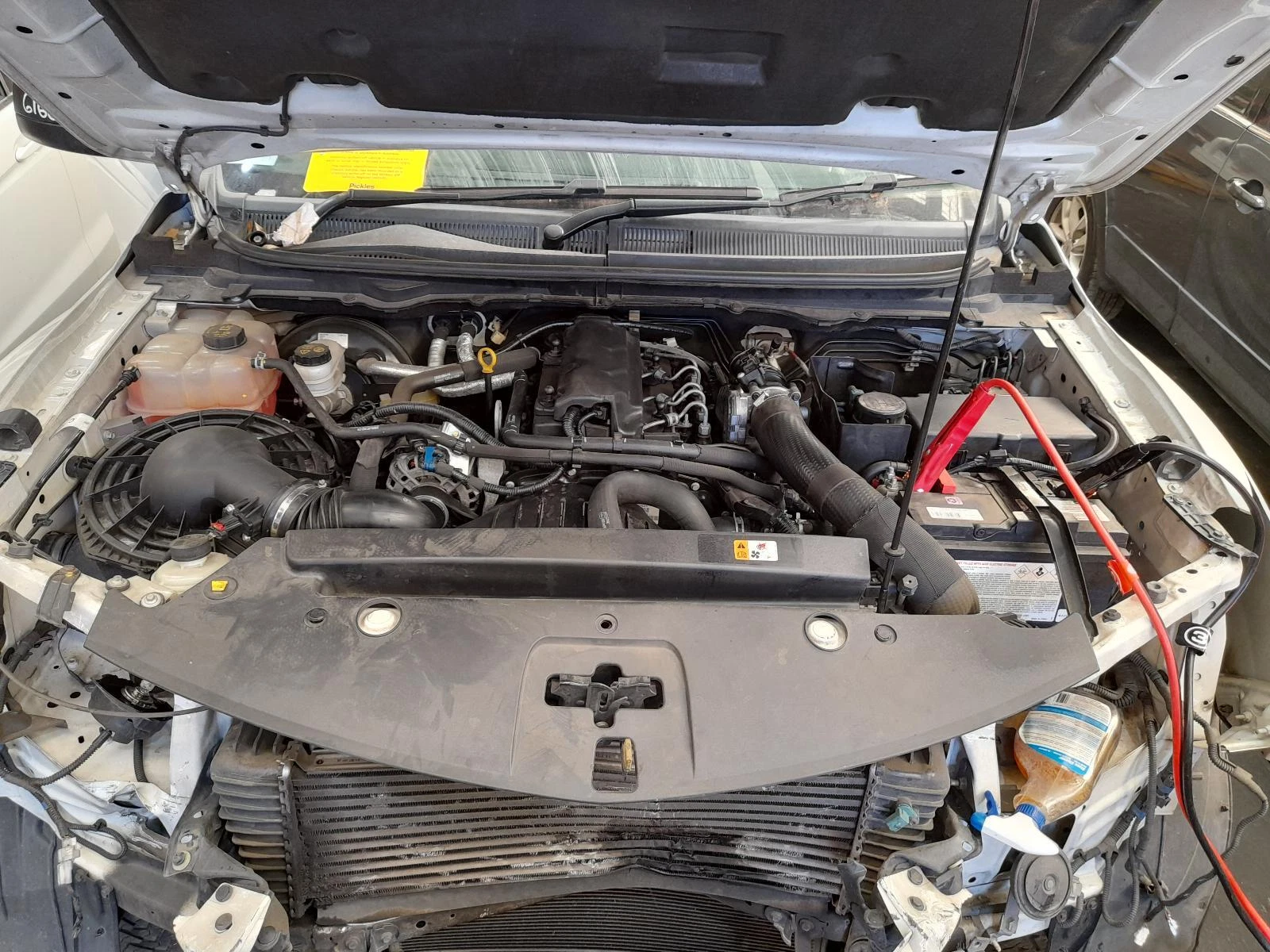 Picture 6 of 12