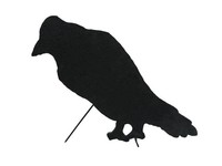 INNA-Glas Deko Halloween Spooky Crow, Schwarz, 63Cm
