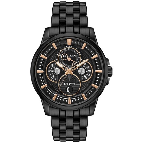 S010 CITIZEN Eco-Drive 時計GN-4W-S-10G LADIES CITIZEN ECO DRIVE watch Model # GN-4W-S-10 1