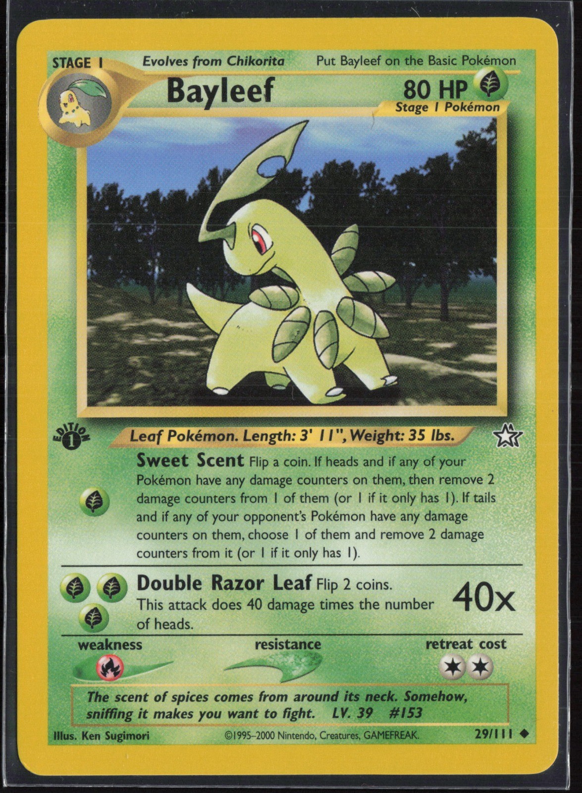 Bayleef (29) 029/111 1st Edition - Neo Genesis - NM