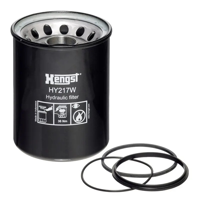 Hengst Filter Filtro Olio Hy217w - Immagine 2