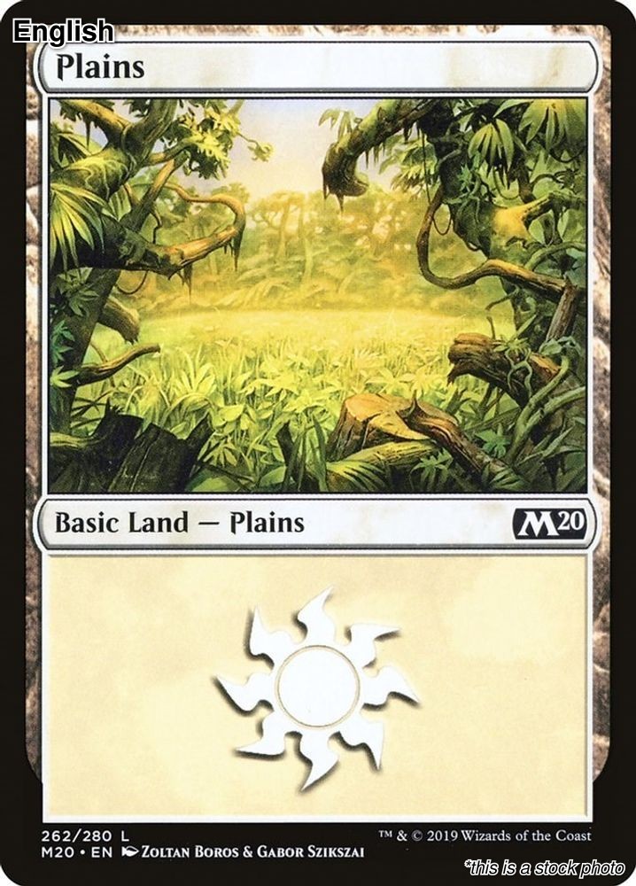 MTG Plains [M20 - 262] LP