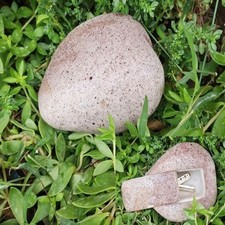 Natural Looking Imitation Stone Key Holder Resin Secure Key Storage Box  Yard