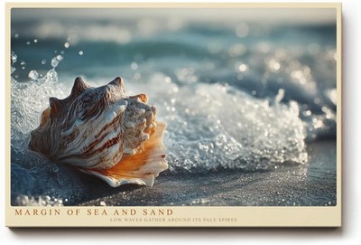 120x80cm Paul Sinus Wandbild 120x80cm Margin of Sea and Sand Muschel im
