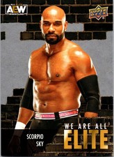 2023 Upper Deck AEW All Elite Wrestling We Are SILVER #AE-34 SCORPIO SKY
