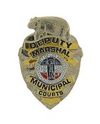 US DEPUTY MARSHAL MUNICIPAL BADGE Lapel Hat Pin in GOLD Plated