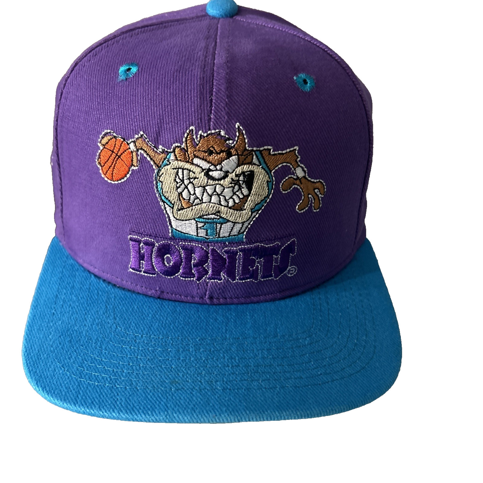Rare Hornets Taz Tasmanian Snapback Cap Hat Looney Tunes Drew Pearson Companies