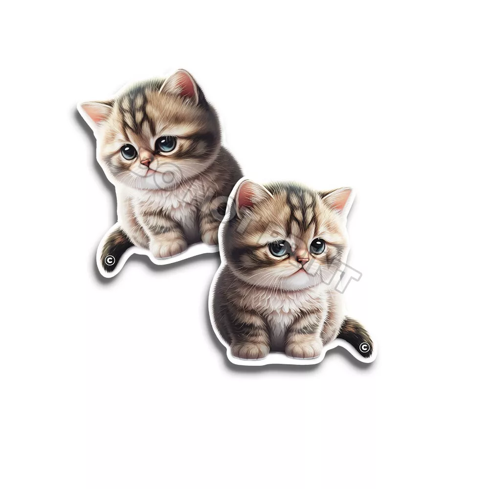 Chaton Mignon Bébé Chat Sticker