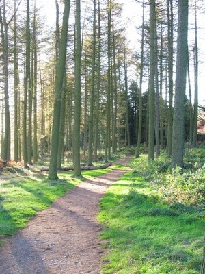 Foto A2 Permissiver Weg, Cod Beck Reservoir Osmotherley A gut beschichtet c2014