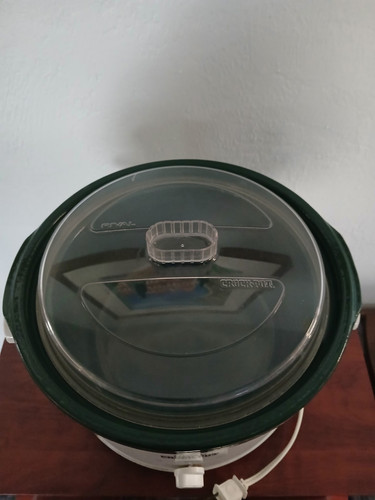 RIVAL CROCK POT 5 QT MODEL GRAPES GREEN STONEWARE w/ LID - Picture 2 of 3