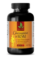 Glucosamine MSM Pills - GLUCOSAMINE CHONDROITIN & MSM - Joint & Bones Health