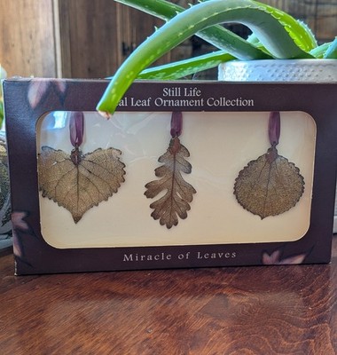 Still Life Real Leaf Ornament Collection Set 3 18k Gold Dipped Miracle Leaves 
