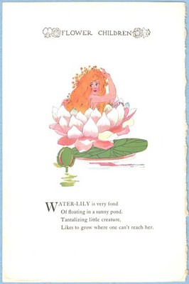 1910 Antique Chromolithograph E. Gordon, Water-Lily & Rose, Illus. by M.T. Ross