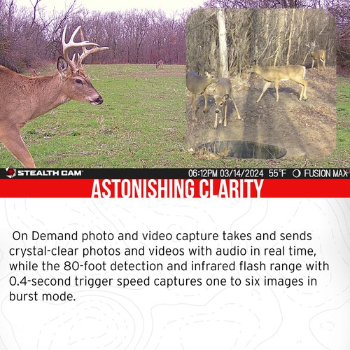 Stealth Cam 36MP Fusion Max Cellular Trail Camera with SD Card Viewer Bundle - Picture 3 of 7