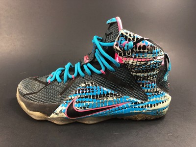 lebron 12 chromosomes for sale