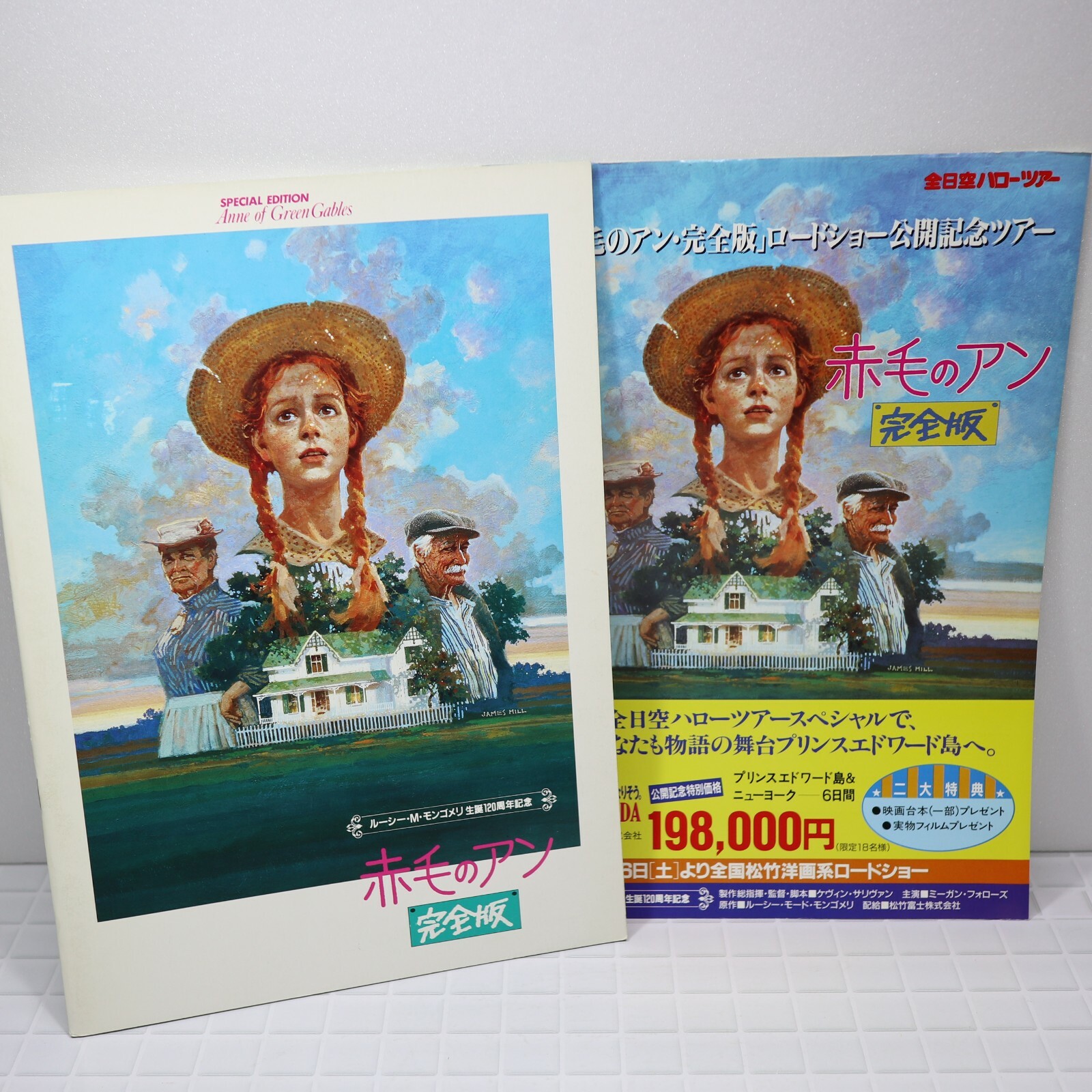 Special Edition Anne Of Green Gables Japanese Movie Program Book W Flyer Ebay Special Edition Anne Of Green Gables Japanese Movie Program Book W Flyer Ebay