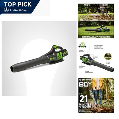 #ad Greenworks Pro 80V Leaf Blower 170 MPH 730 CFM Brushless Cordless Handheld To... $314.40