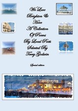 We Love Brighton and Hove (Special Addtion) by Terry Godwin (English) Paperback