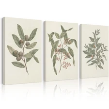 Green Botanical Wall Art Sage Plant Canvas Pictures Eucalyptus Wall Decor Vin...