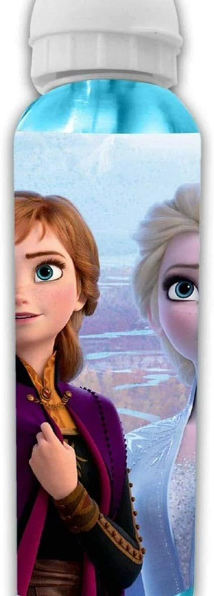 Disney Frozen Character Metal School Drink Flask Bottle Anna