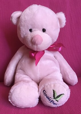 Center Parcs rosa Teddybär weiches Plüschtier 10 Zoll Aurora