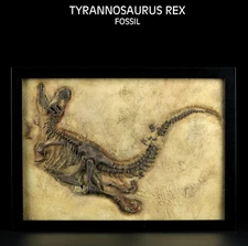 Tyrannosaurus T Rex Fossil Dinosaur Model Toy Collector Home Decor Photo Frame