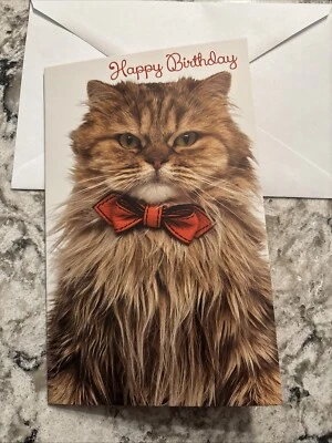 STOCKWELL GREETING CARDS Birthday Funny Cat with Bow tie Special Day 5'x7.75" Stockwell Greeting Card