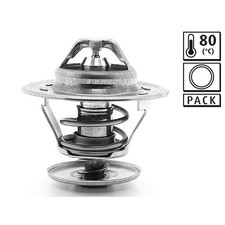 Thermostat Audi 100