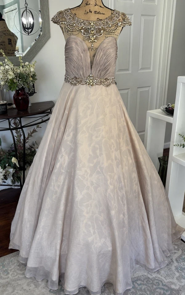 Vestido de baile adornado VC by Viola Chan talla 12 ilusión con cuentas corpiño rubor ❤️👸 Foto 2 de 4