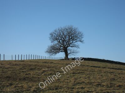 Foto 6x4 Einsamer Baum Butterknowle Baum steht allein auf dem Hügel. Aufgenommen c2010