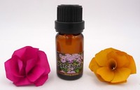 Patschuli ÄTherisches ÖL Aromatherapie 100 % Naturreines äTherisches ÖL 10 Ml