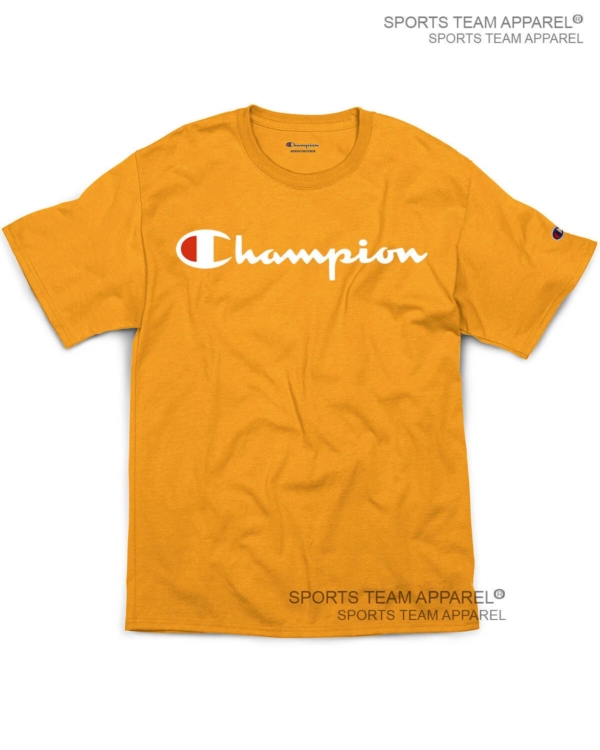 Champion Men's Jersey T-Shirt Classic Fit with Script Logo