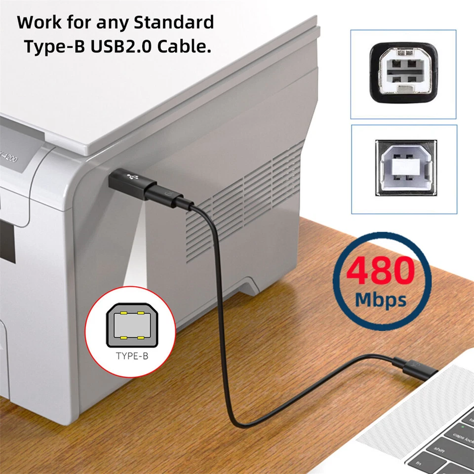 USB 2.0 to USB 2.0 Type B Printer Connector Adapter for Disk Scanner 2Pcs/Set - Image 4 of 4