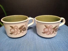 Vintage Taylor Smith & Taylor Concord Coffee Cups ~Set Of 2~