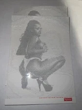 Supreme Digi Girl Sticker 100% Authentic SS17 Slap Code Digital Art