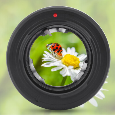 DKL NEX Schwarz Objektiv Adapter Ring Für DKL Mount Kamera Objektiv Für NEX DE.