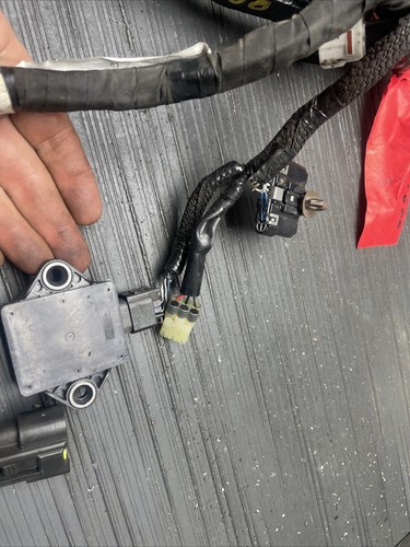 2020 Suzuki GSXR1000 Main electrical harness #10924 - Picture 15 of 24