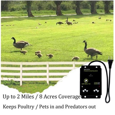Effective Wildlife Deterrent Electric Fence System