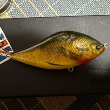 Salmo Slider 12