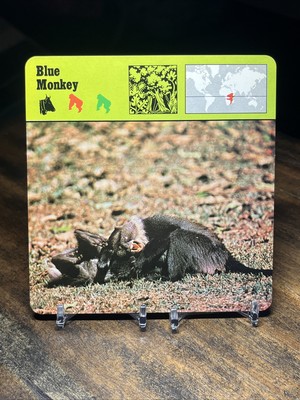 Blue Monkey, 1977 Editions Recontre 4 3/4'' x 4 3/4'' Card