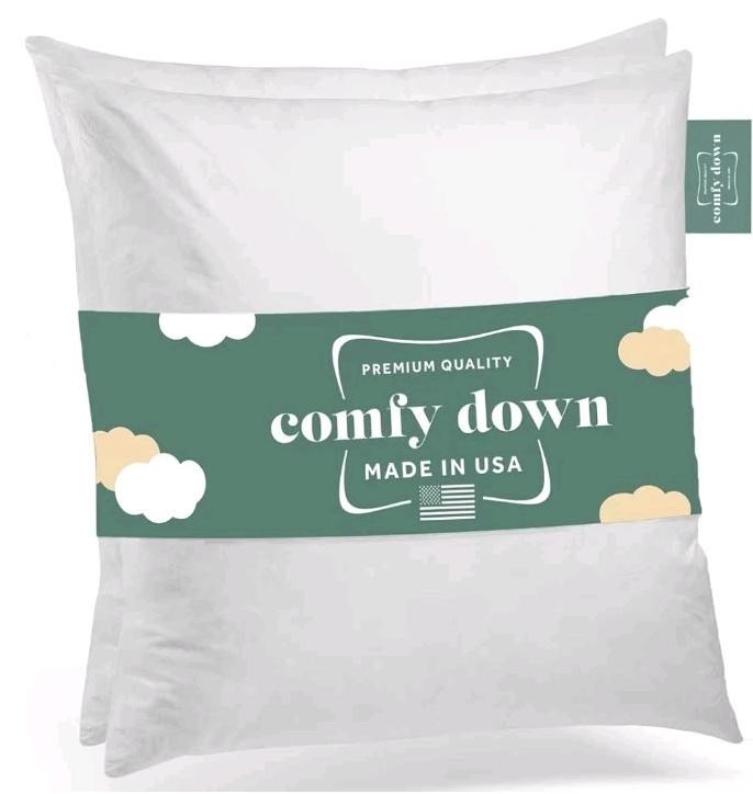 2pc ComfyDown - Euro Square Pillow Insert FEATHER / DOWN  Sham Stuffer -22x22"