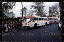 STE. TROLLEYBUS #3397. MEXICO CITY (MX). Original Slides 1982.