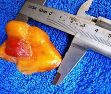 Natural Baltic amber  16 g stone yellow red charm USSR jewelry  琥珀 gemstone gems