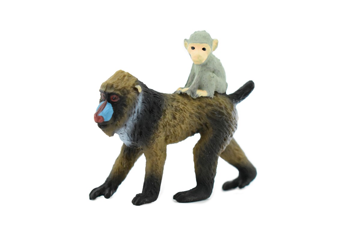 Mandrill ‎– 2枚 Mandrill With Baby, Baboons, Realistic Toy, Hand Painted, 2