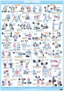 Bodybuilding Weight Lifting Chart